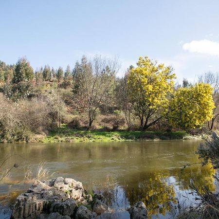 Casinha Da Aldeia Villa Castelo Branco  Eksteriør billede