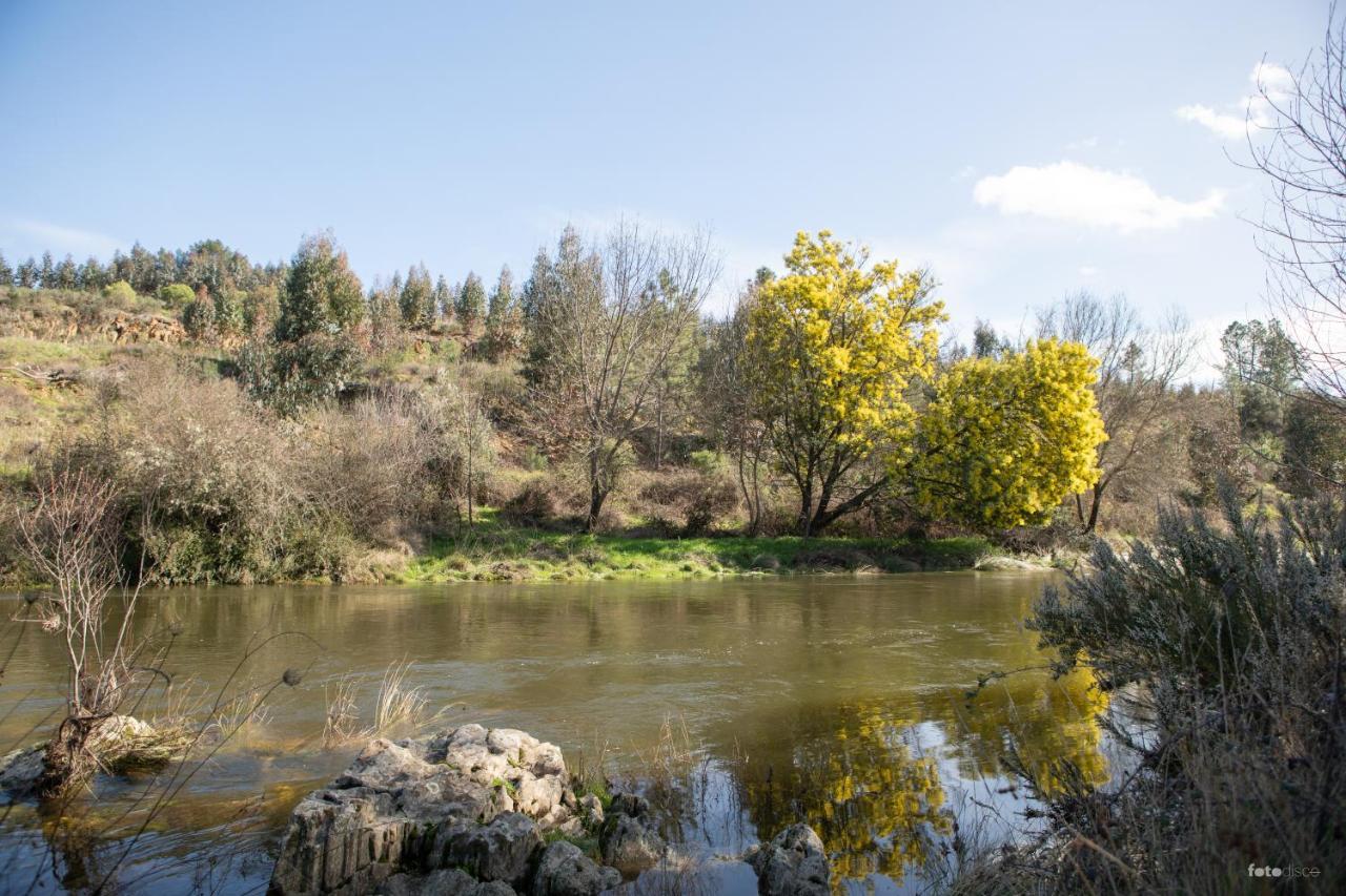 Casinha Da Aldeia Villa Castelo Branco  Eksteriør billede