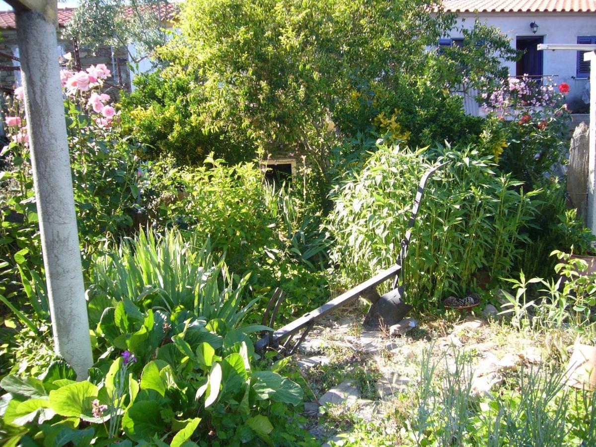 Casinha Da Aldeia Villa Castelo Branco  Eksteriør billede