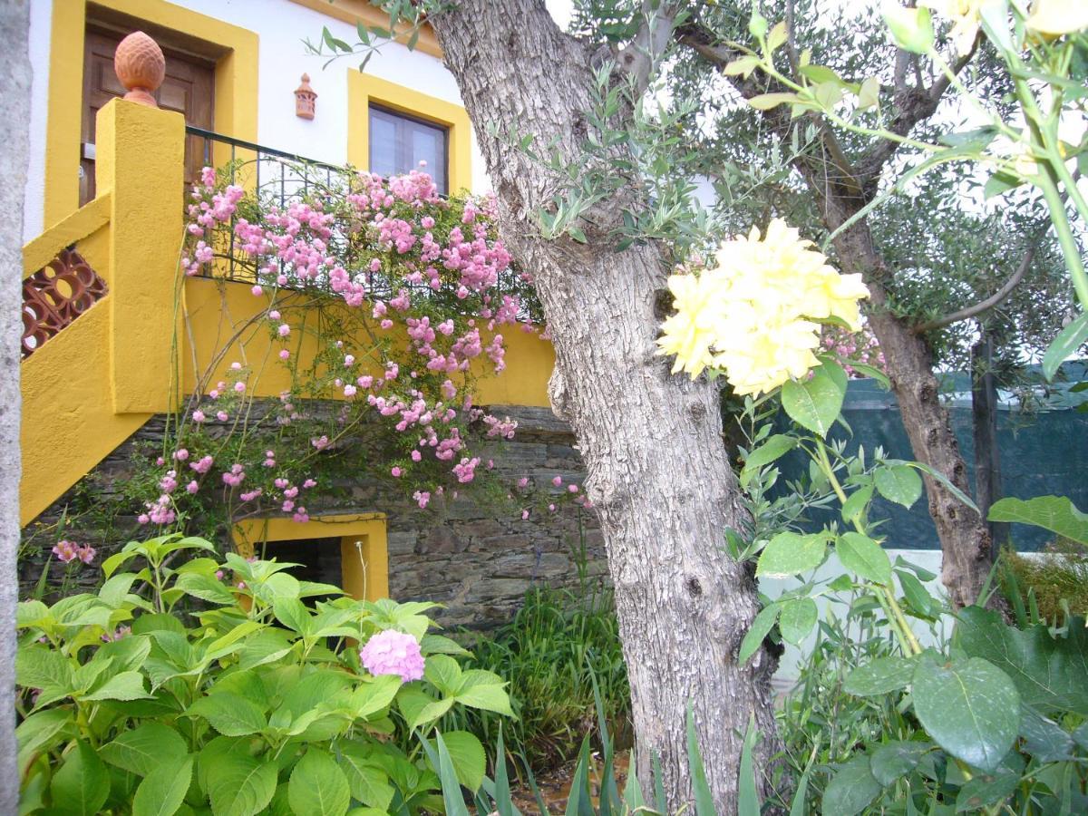 Casinha Da Aldeia Villa Castelo Branco  Eksteriør billede