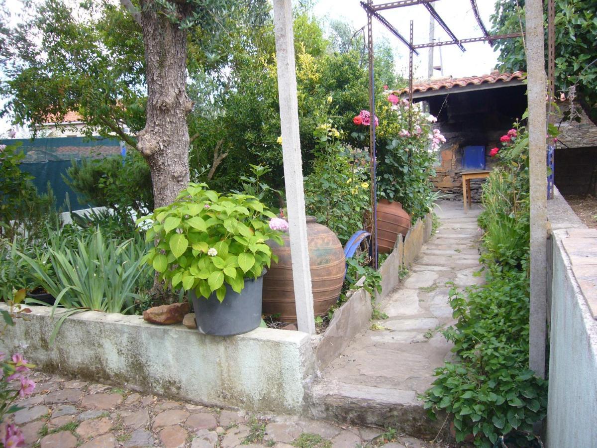Casinha Da Aldeia Villa Castelo Branco  Eksteriør billede